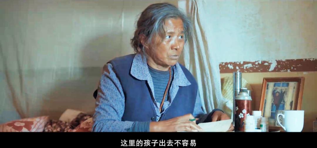 王宝强八角笼中陈思诚拿了多少,王宝强八角笼中谈陈思诚