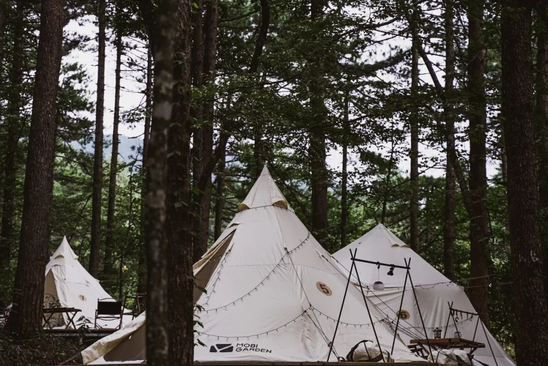 杭州临安大明山攻略,临安大明山游记