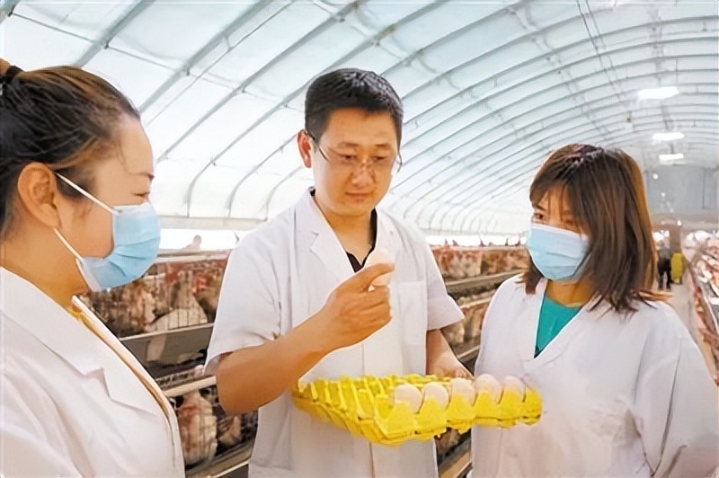 科研助理硕士就业前景,科研助理未来规划