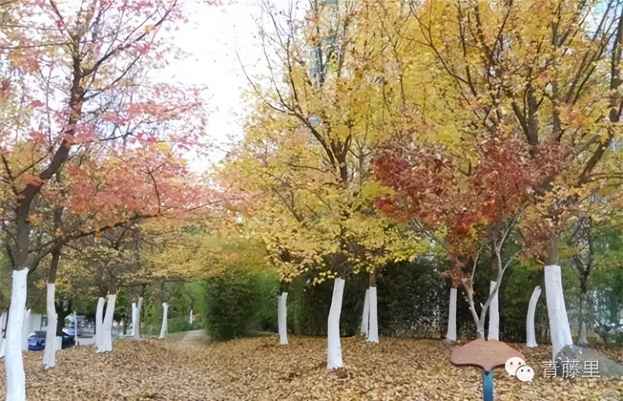 一地烟灰,一地烟灰一堆酒瓶