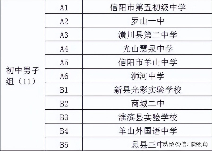 信阳市羊山新区足球市长杯,羊山中学足球队市长杯
