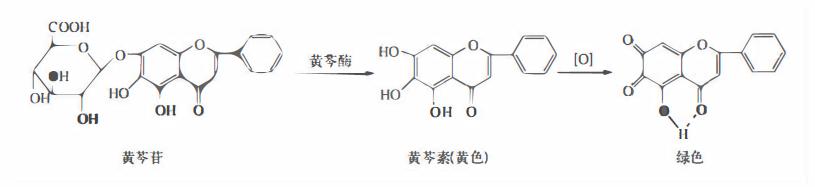 含黄酮类成分的药材有,陈皮的黄酮类成分作用