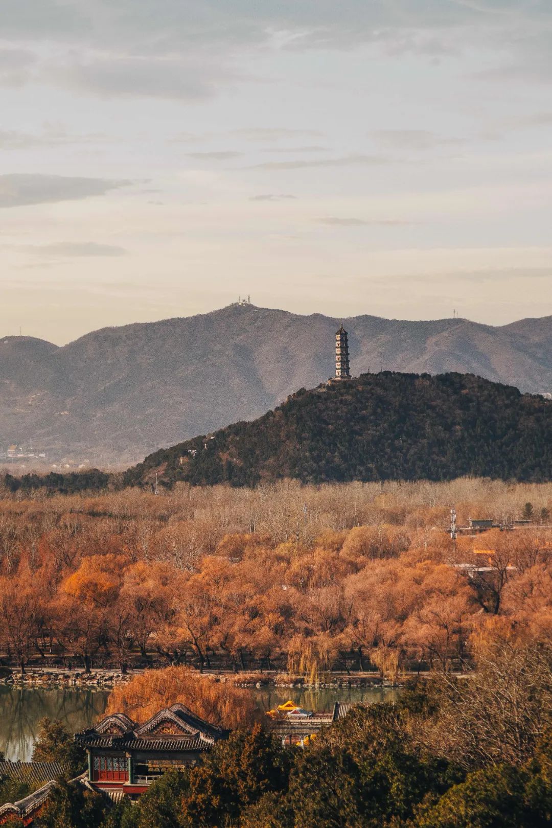 什么牌子水泡茶最好喝,什么牌子的水泡茶最好喝