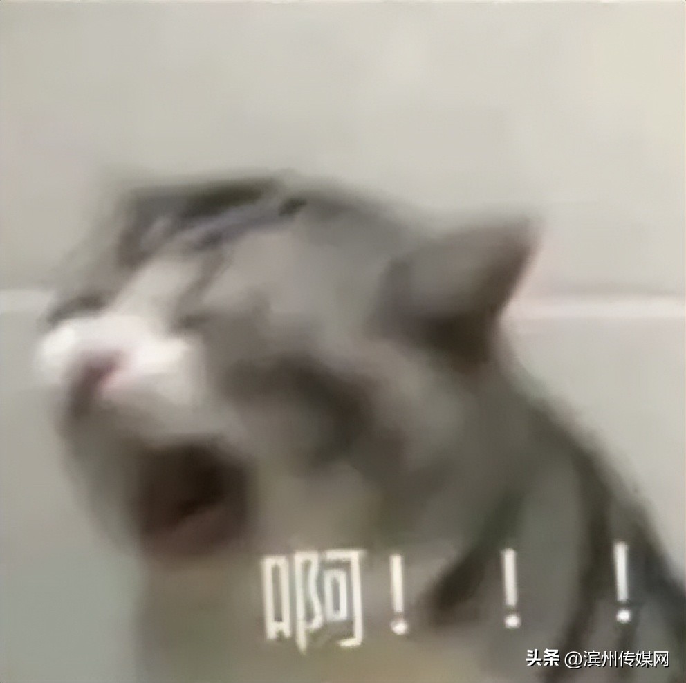 读音容易出错的50个汉字,一年级容易出错的汉字笔顺