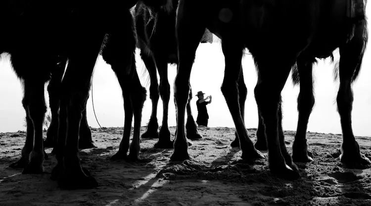 内蒙奈曼旗摄影,内蒙古通辽市奈曼旗宝古图沙漠