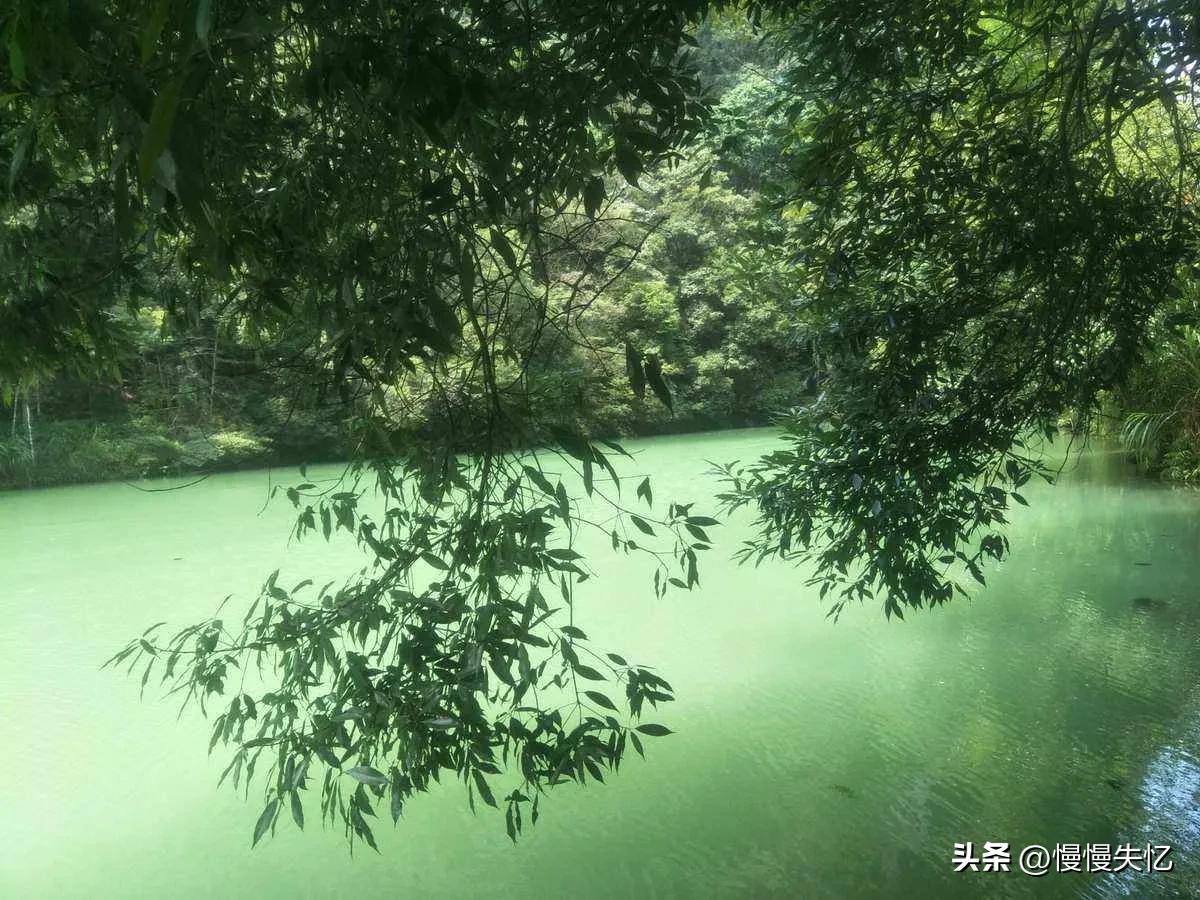 绝美的宋代山水田园诗,宋朝著名的山水诗人及其诗句赏析