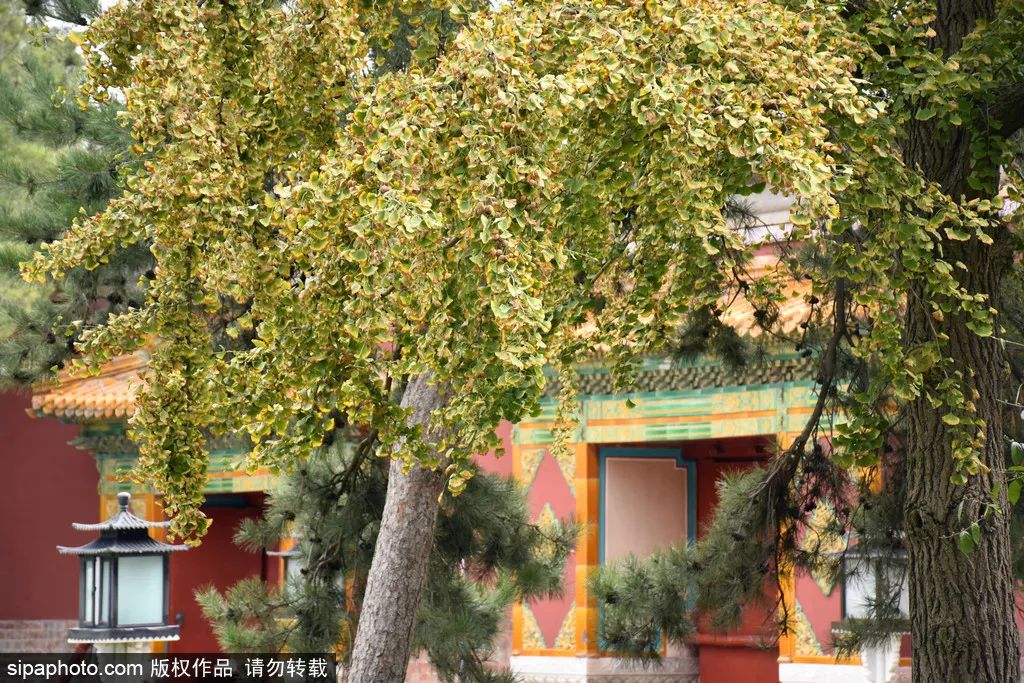 来北京必逛皇家园林,北京具有特色的皇家园林