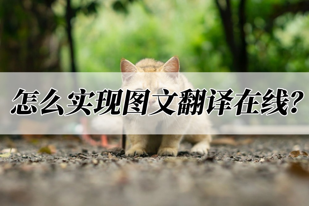 如何一键翻译视频文字,如何一键翻译图片