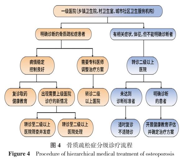 原发性骨质疏松诊疗指南,原发性骨质疏松症诊疗指南2017