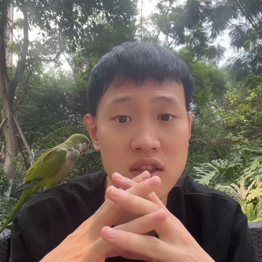 鹦鹉有必要喂电解质吗,鹦鹉喂食电解质幼鸟可以用吗