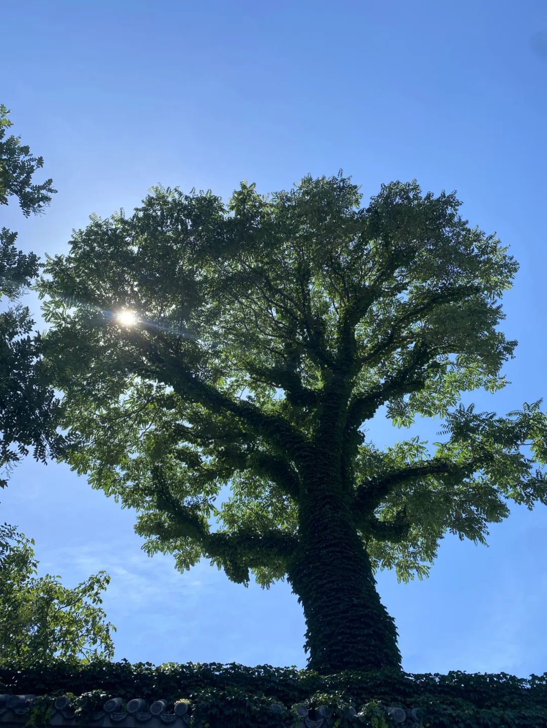牧之野总得做点什么,牧之野备战逻辑