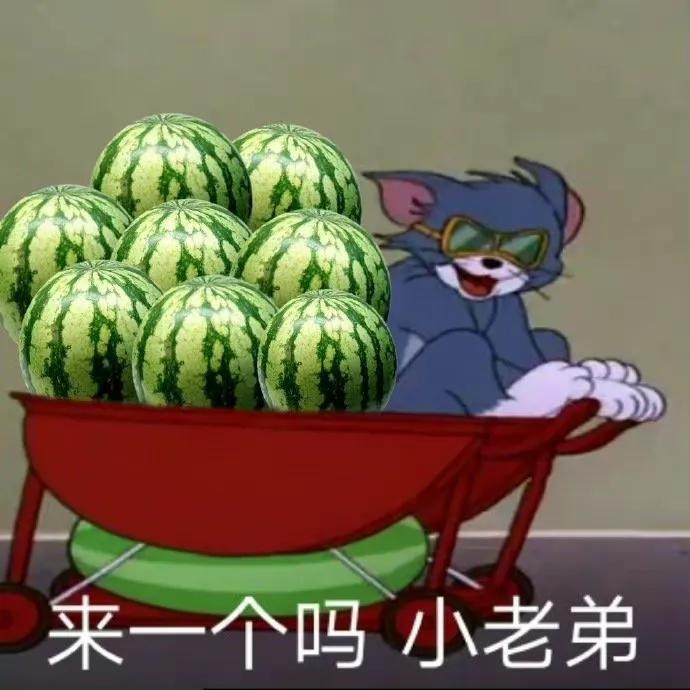 吃瓜群众表情包组成教程,一只安静的吃瓜群众表情包