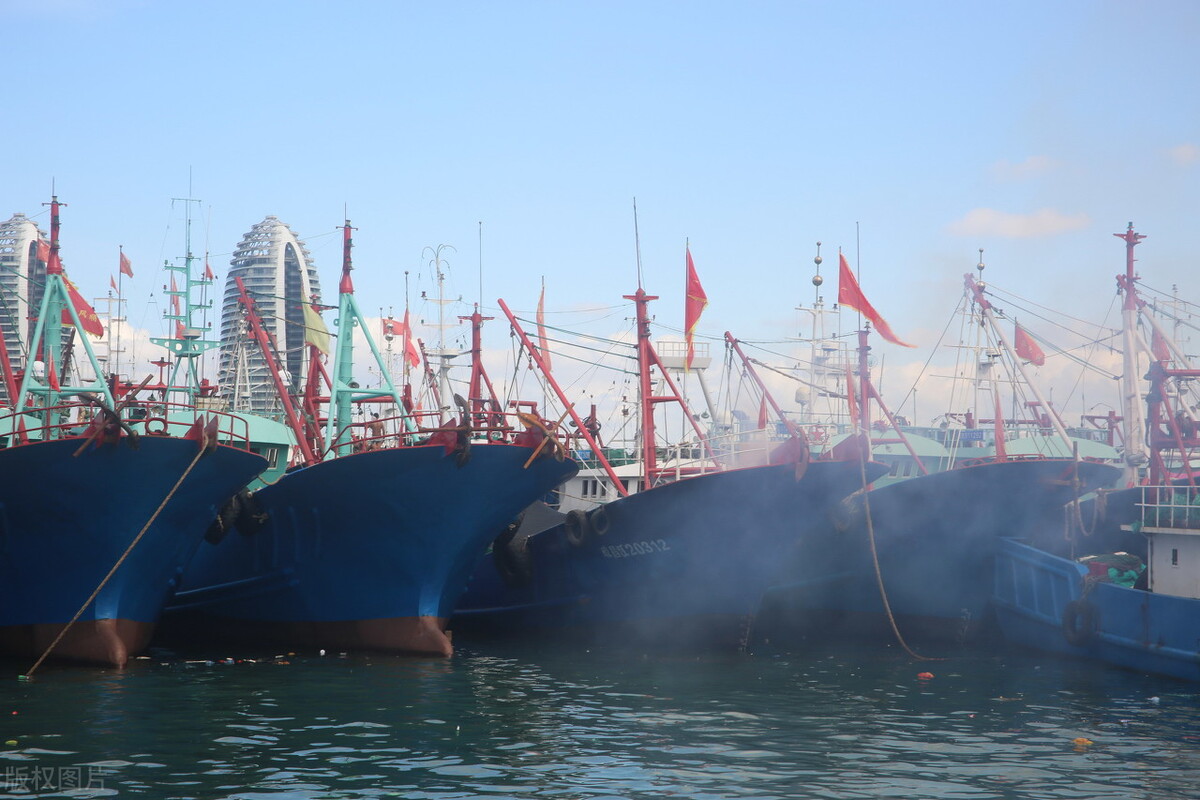 海南这个城市怎么样,海南这个海滨小城有什么特点