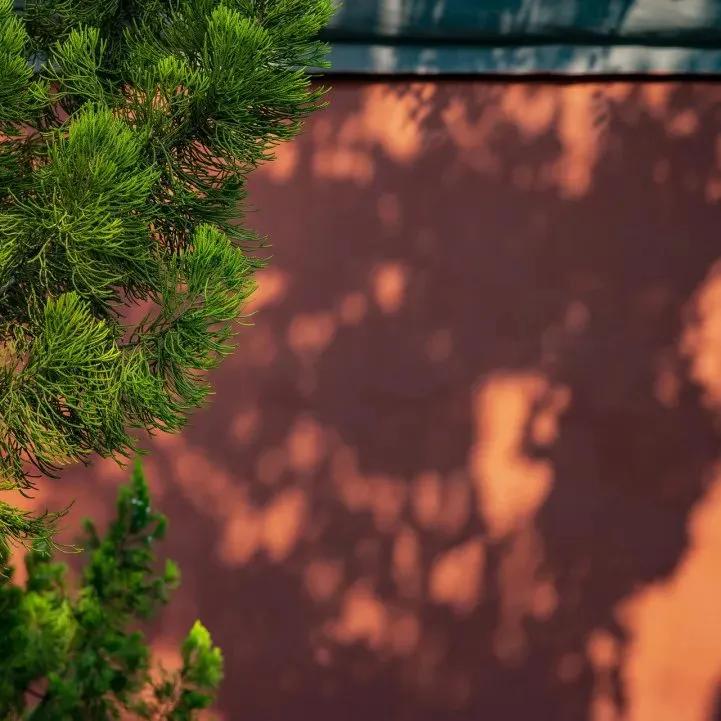 王昌龄最著名的十首诗朗读,王昌龄最著名十首诗