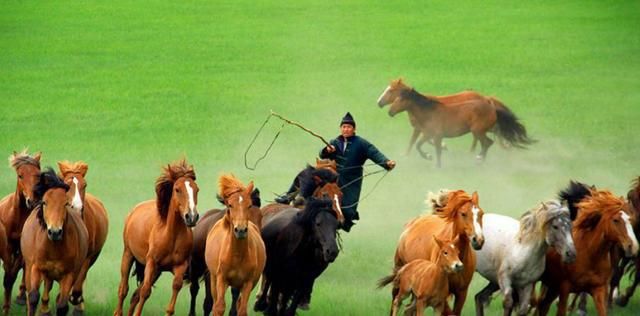 东汉功臣马援最新消息,马援为何是杂号将军