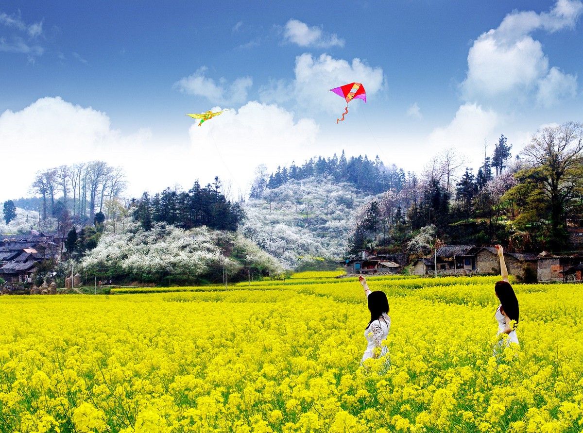 多彩贵州花海旅游,贵州大美黔南风景如画