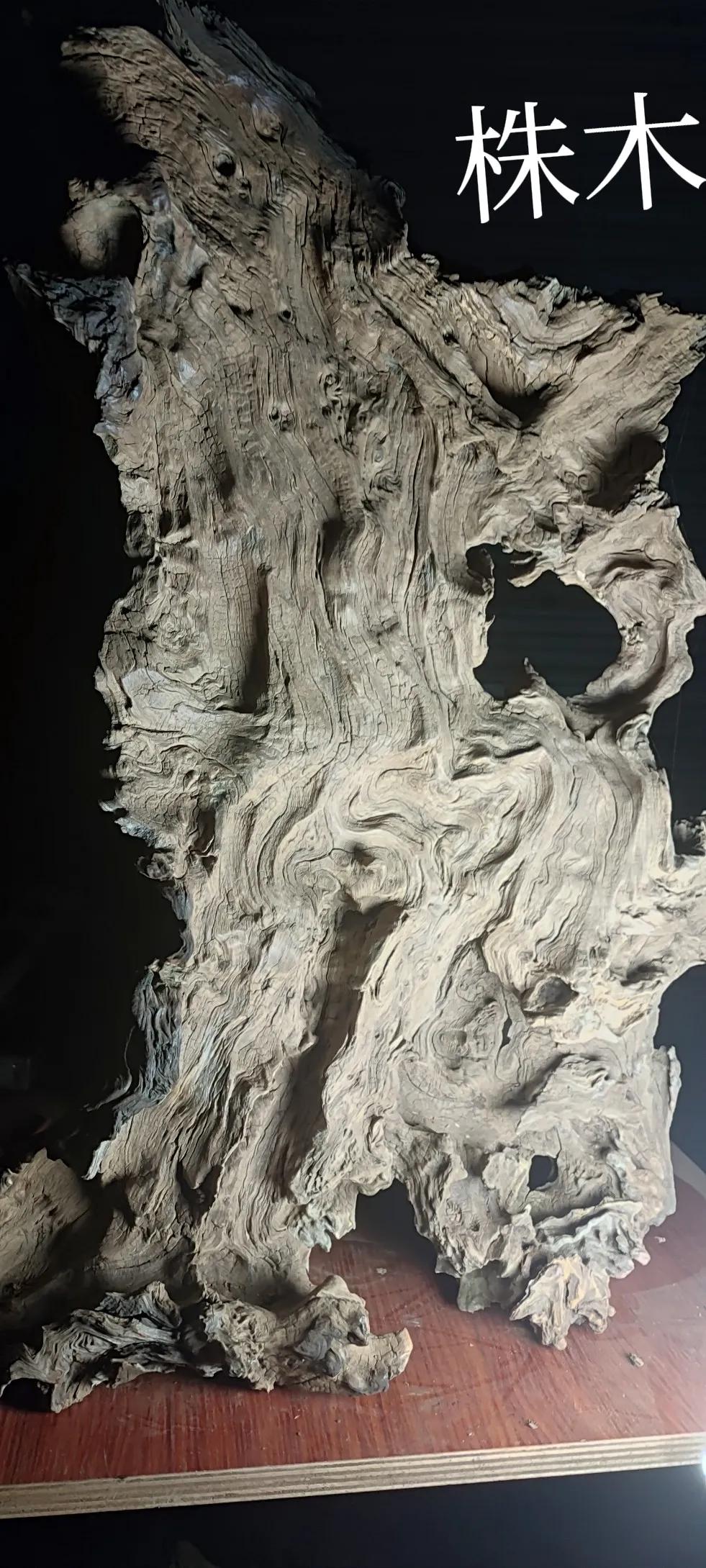 什么木头不生虫,什么木头不容易被虫咬