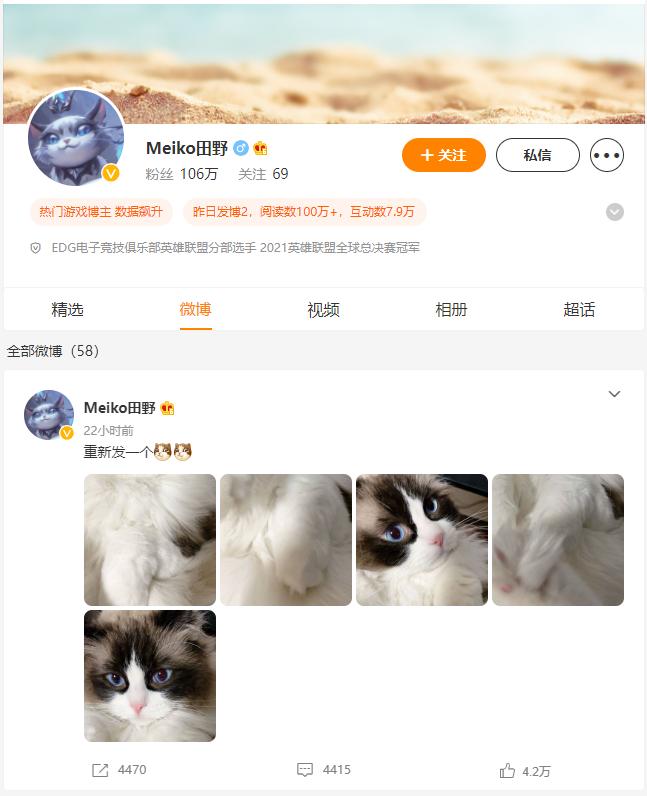 edg为什么叫银龙骑士,edg银龙重铸之日骑士归来之时