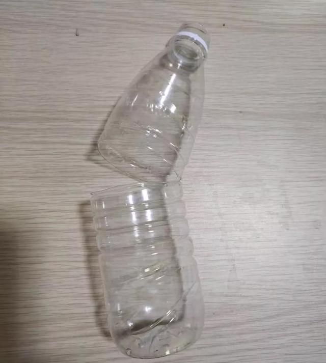 教你扦插大法扦插什么植物都能活,扦插小技巧栽培小妙招