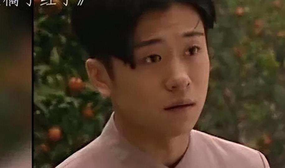 林雨申评价李沁,林雨申和妈妈采访