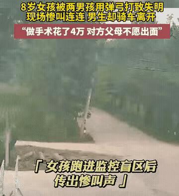 两少年射瞎女童左眼警方却不立案,女童被弹弓射瞎警方不予立案