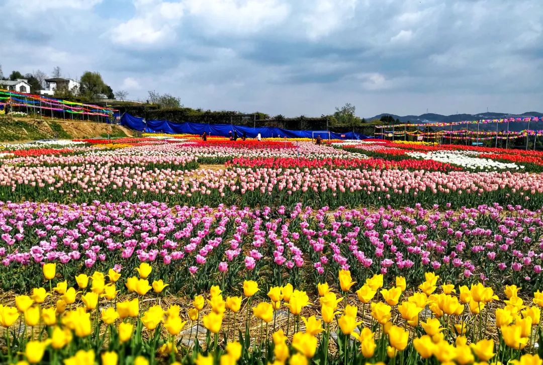 女儿节值得去的景区,女儿节景区免费游玩