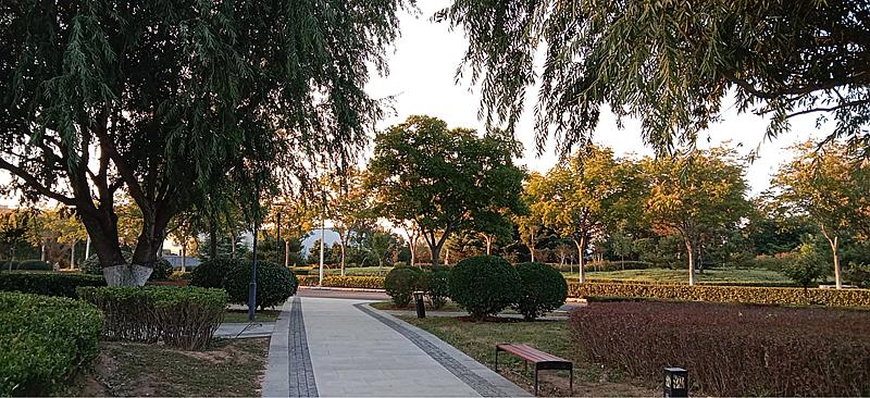 陈瑶本丨城阳母亲河旧貌换新颜