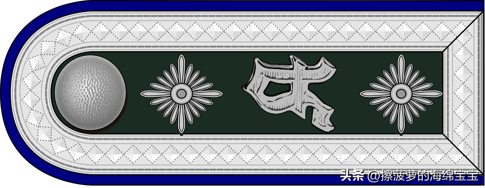 二战德国国防军医疗兵军衔标志