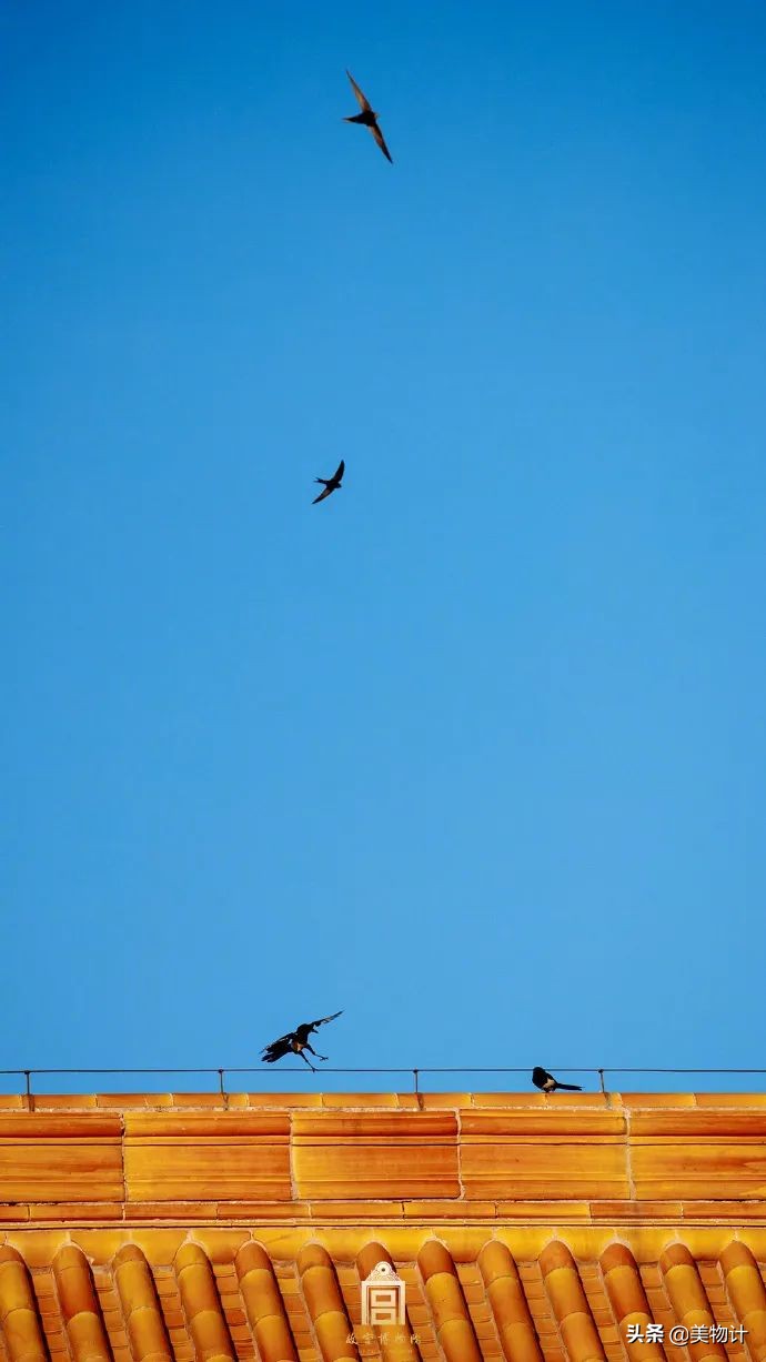 愿五月平安顺利开心,愿五月一切平安顺遂