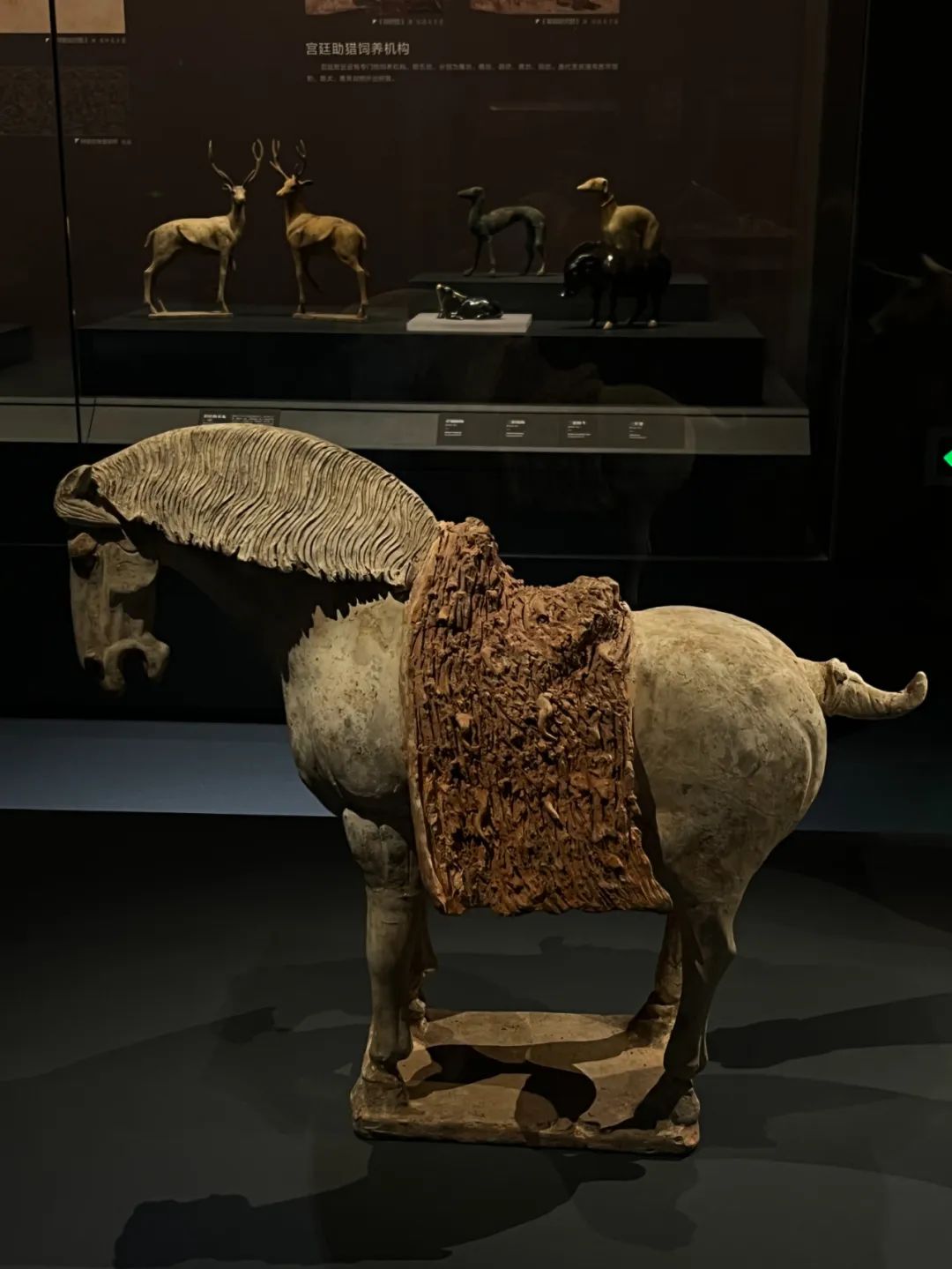 关中民俗博物馆文物游记,关中民俗博物志