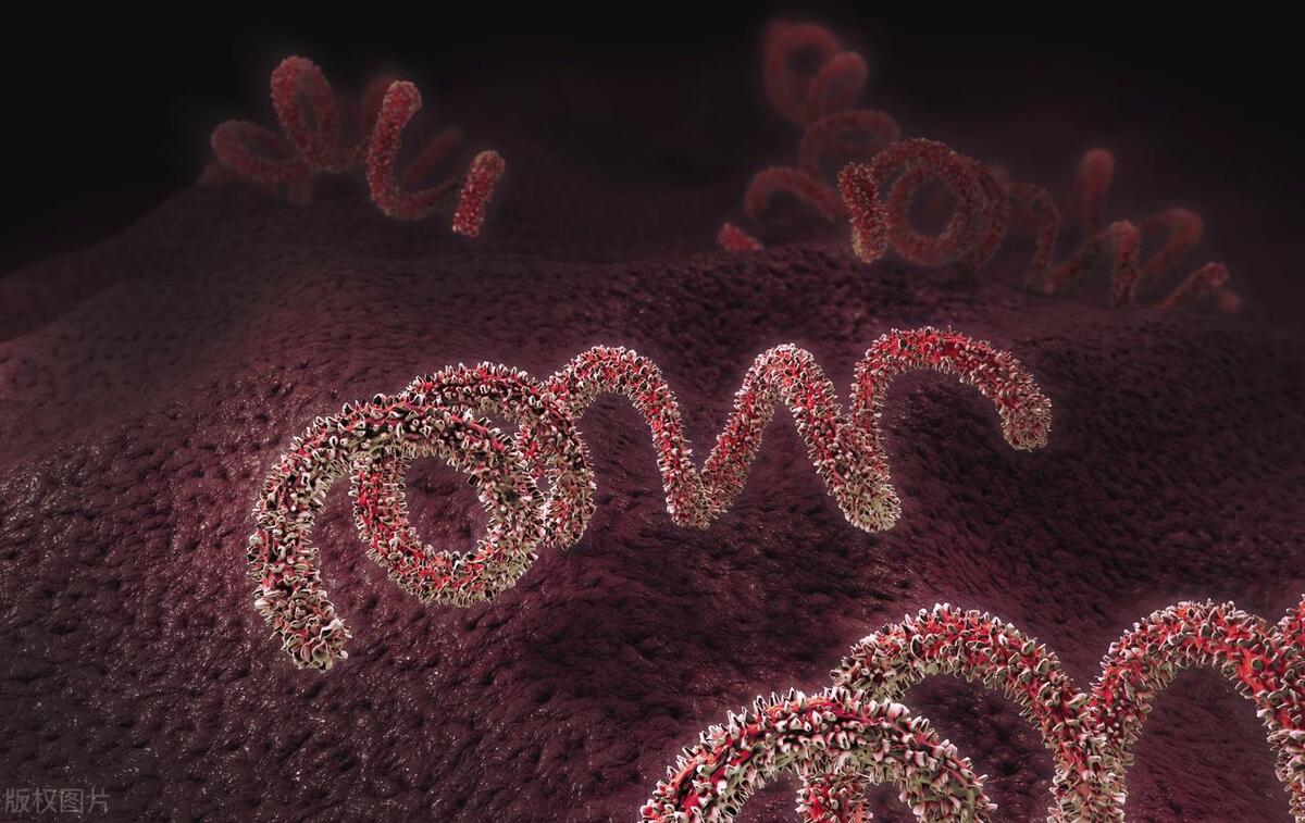 感染梅毒治疗后2个都是阳吗,感染梅毒后会立刻出现症状吗