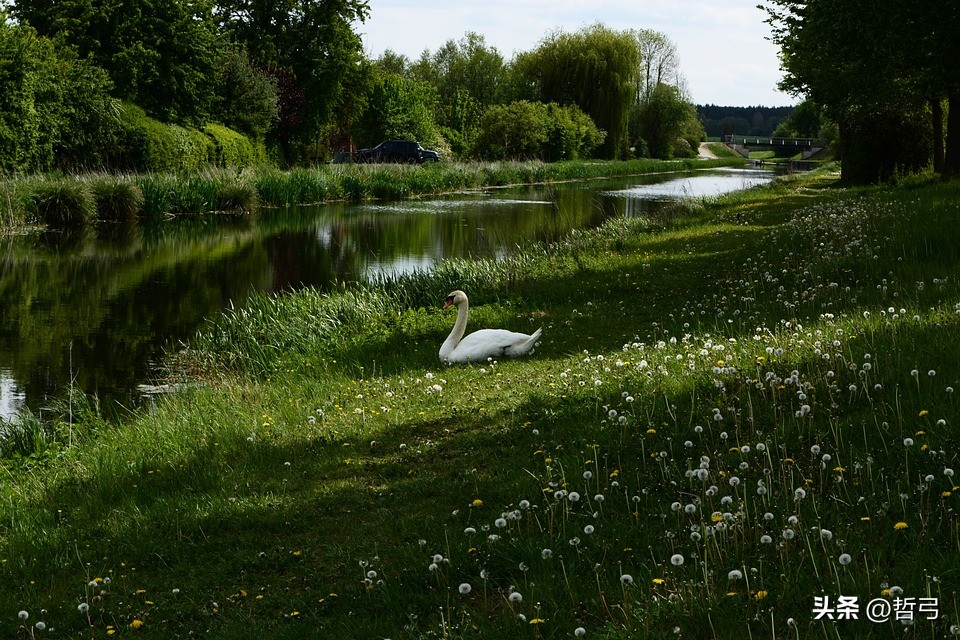 形式逻辑与理想逻辑的关系,形式逻辑就是科学逻辑吗
