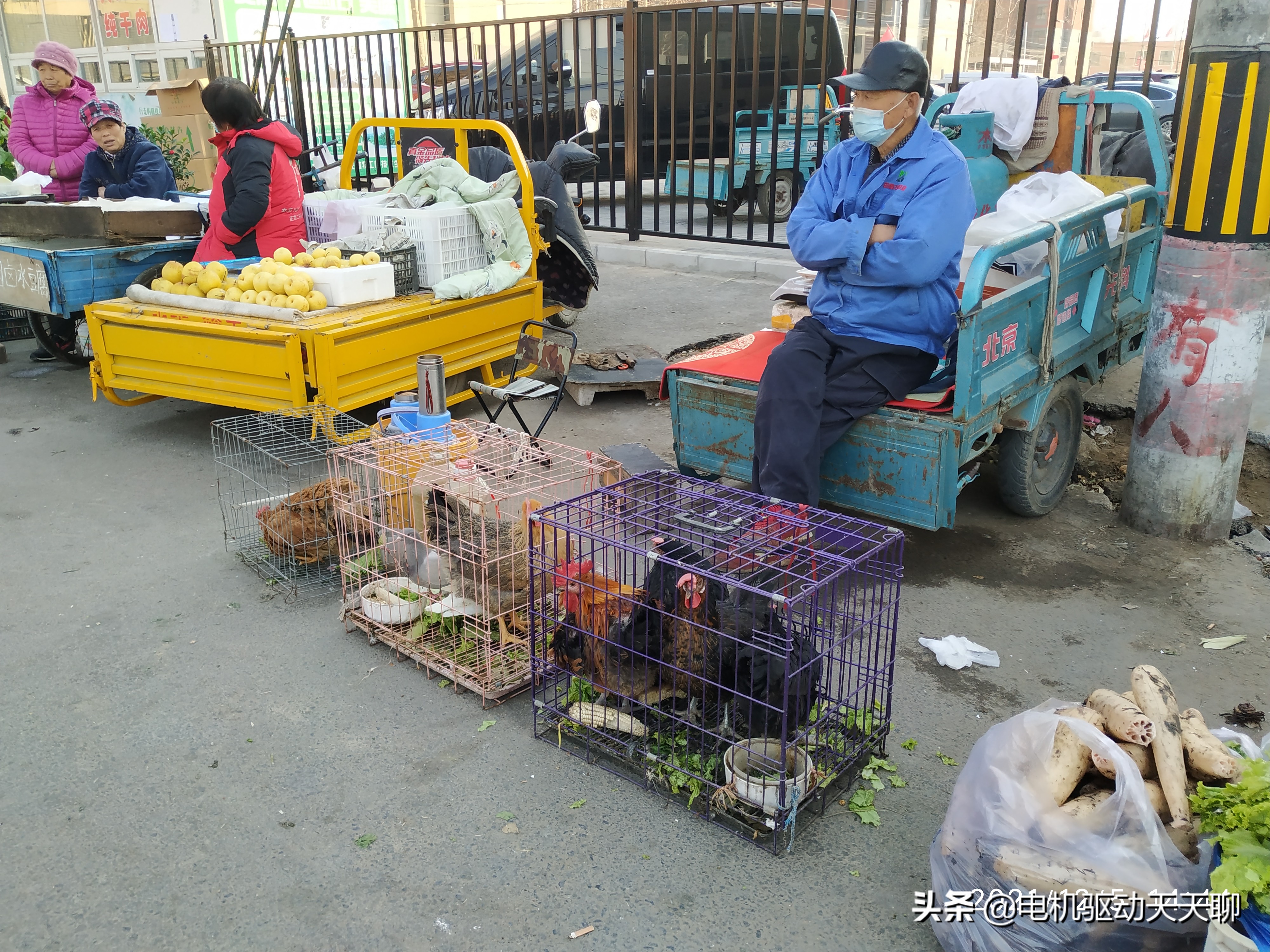 北京房山周末赶乡村集市,房山农村大集哪里好玩