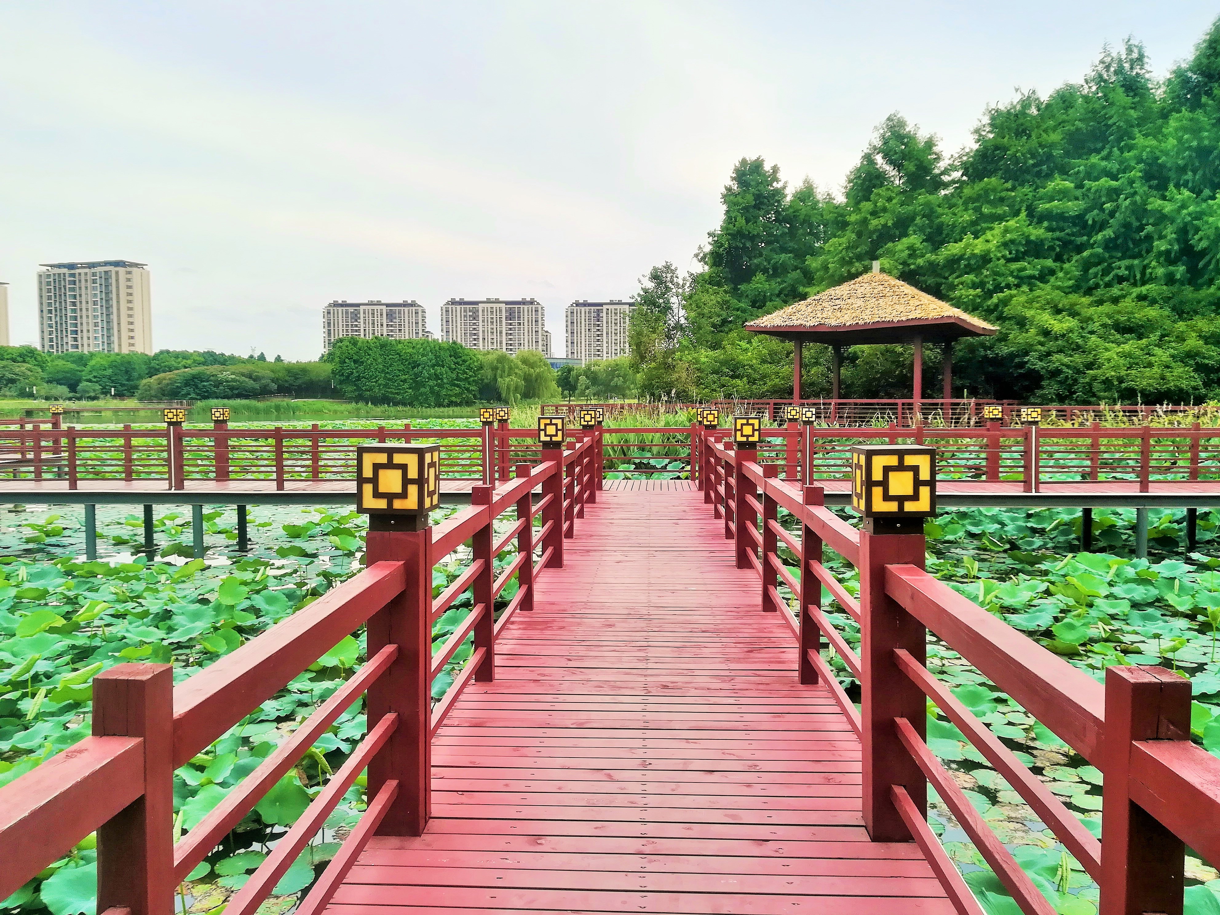 saperp系统是什么,saperp主打产品