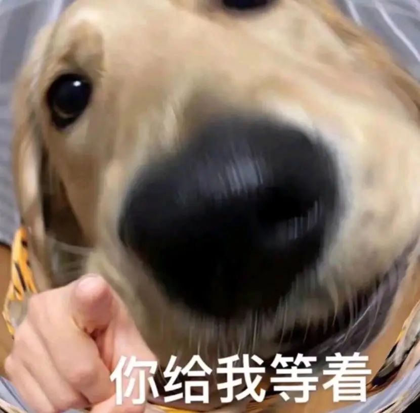 耐克阿迪世界杯款足球鞋,阿迪nike足球推荐