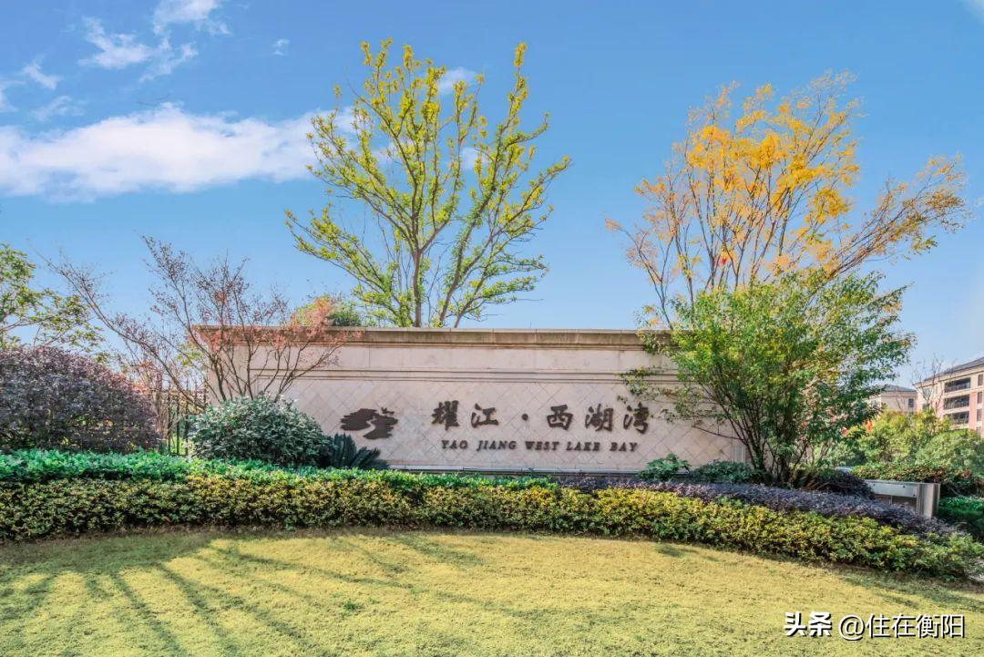 豪横购房,豪横买房合集