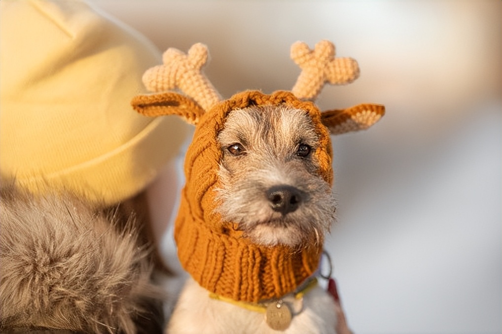 边缘计算中的算法是什么意思,边缘计算是什么意思