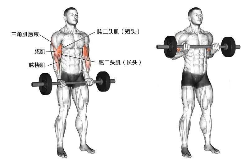 教你用一对哑铃,在家就能瘦全身