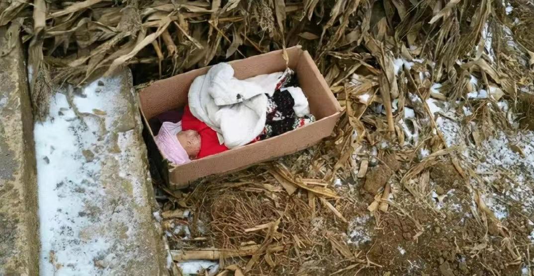 养父扛煤气罐培养女博士的原视频,养父扛煤气罐供成博士