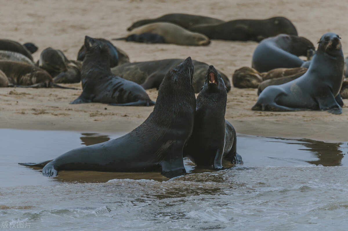 纳米比亚华人生活现状视频,中国人眼中的纳米比亚