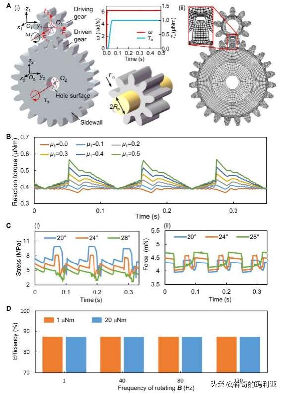 用于无线控制毫米级机器人的磁致动齿轮箱，其究竟有何作用