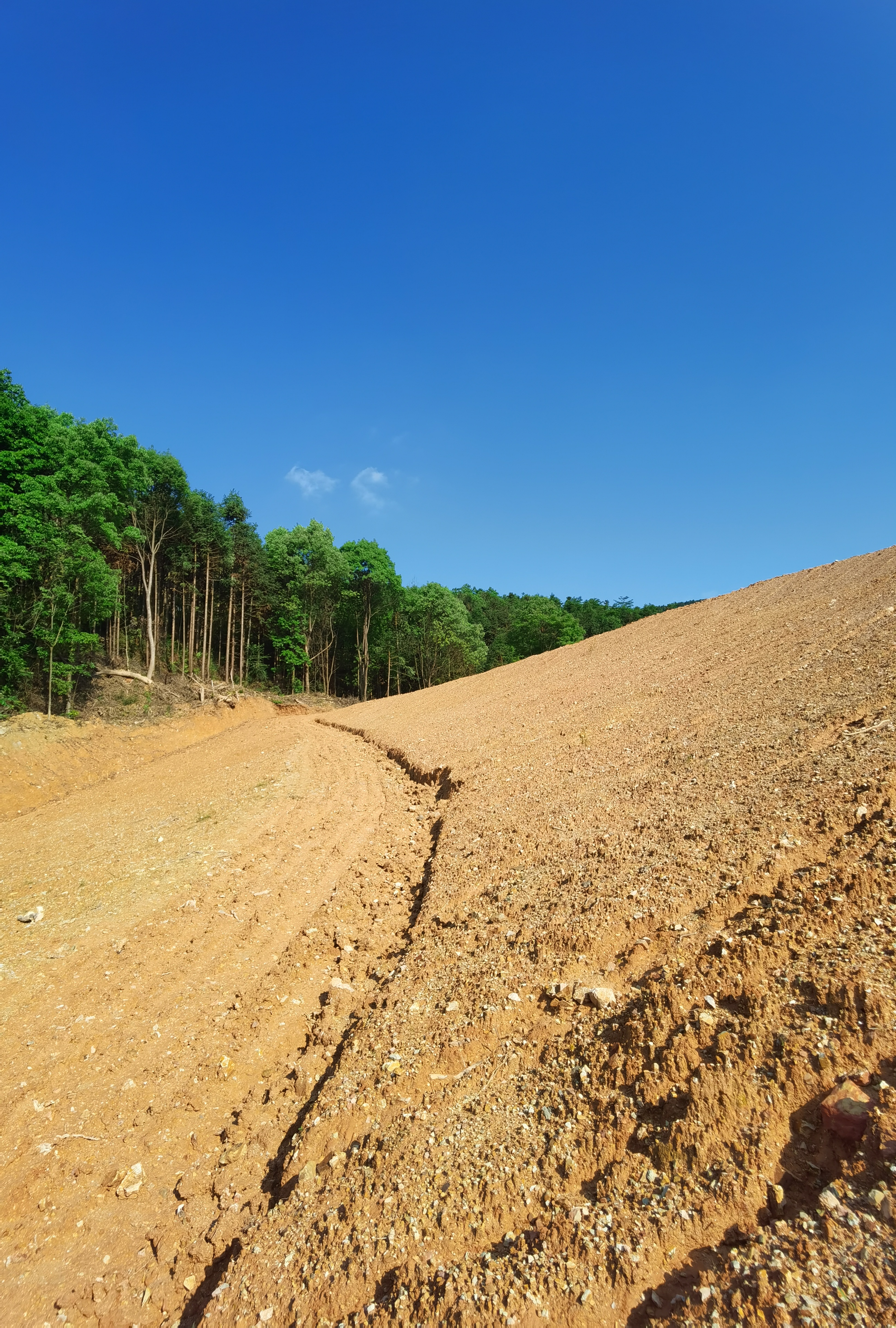 在农村务农一亩地能挣多少钱,种地一亩地能赚500块钱吗