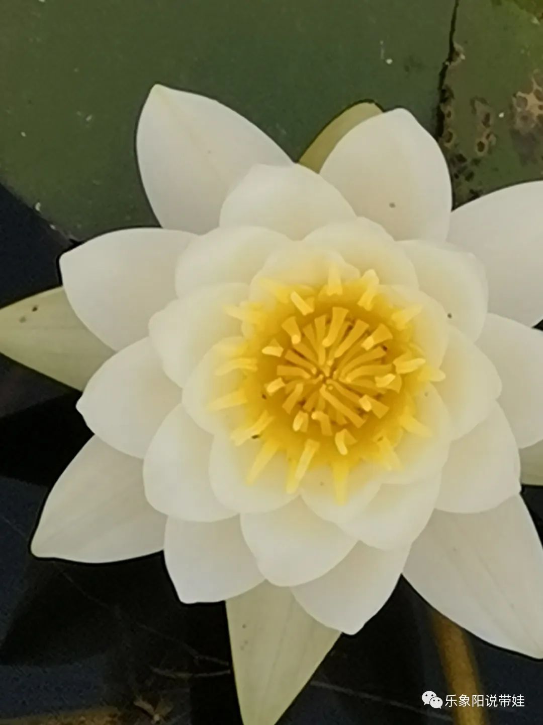 时间都去哪儿了小品完整版,时间都去哪儿了感悟