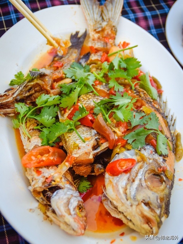 普吉岛海钓出海攻略视频,普吉岛海钓项目大全