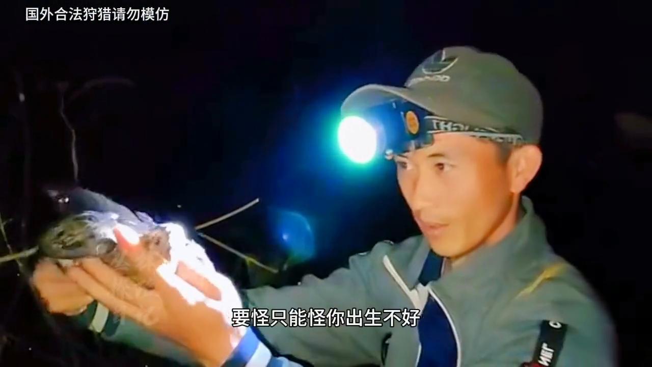 越南野鸡泛滥，只需晚上用套索套住脖颈就可捕获，一次三只