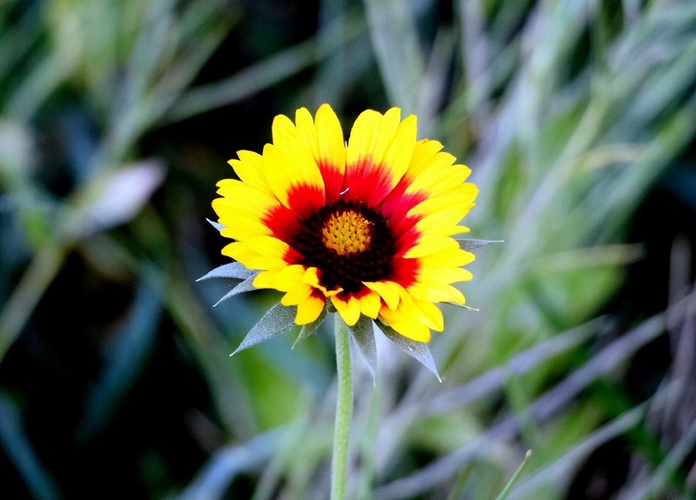 体检·小酌·途中·公园·侄女·其它