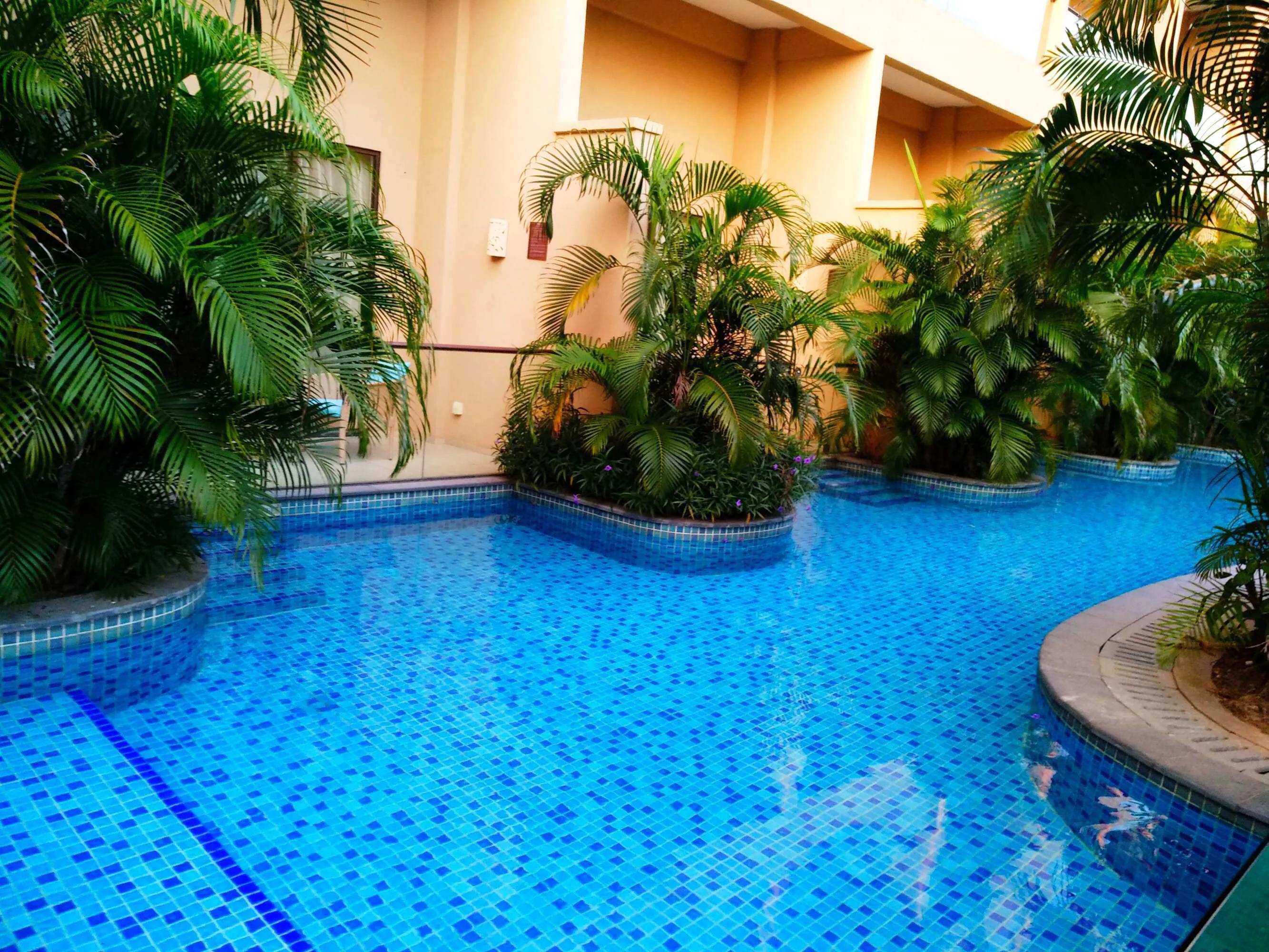 徜徉在浩瀚的海洋中,领略北部湾