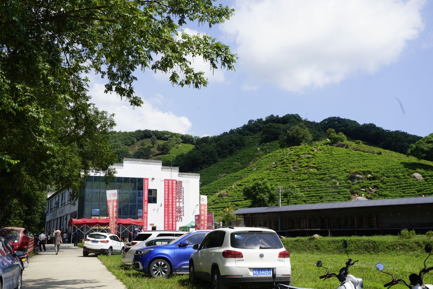 文艺轻骑兵信阳||青山苍苍土门粽香