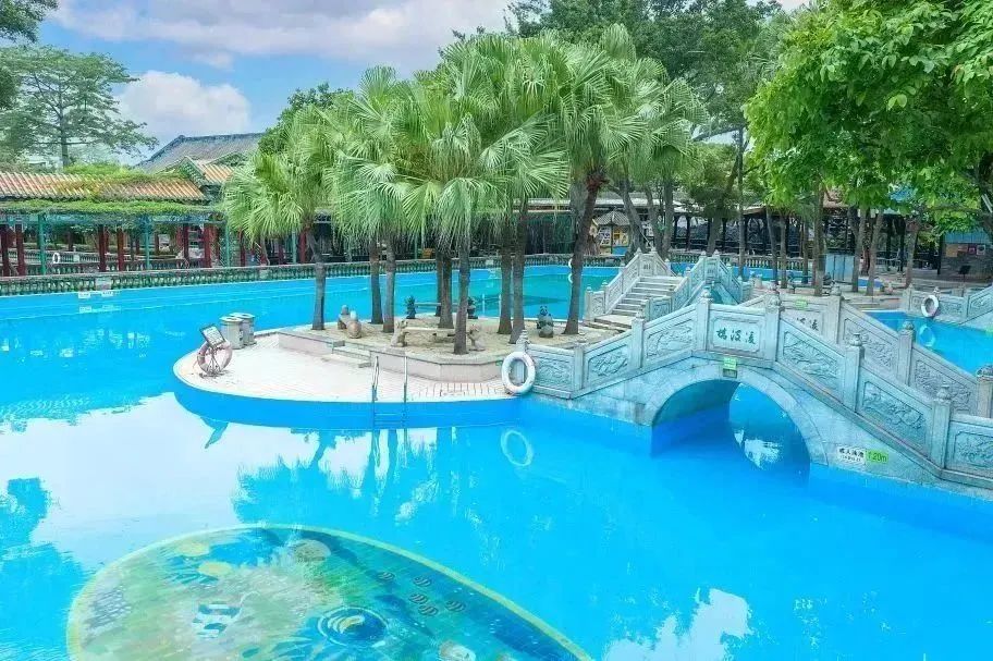 盛夏赴一场荷香之约,与夏天来场清凉的约会