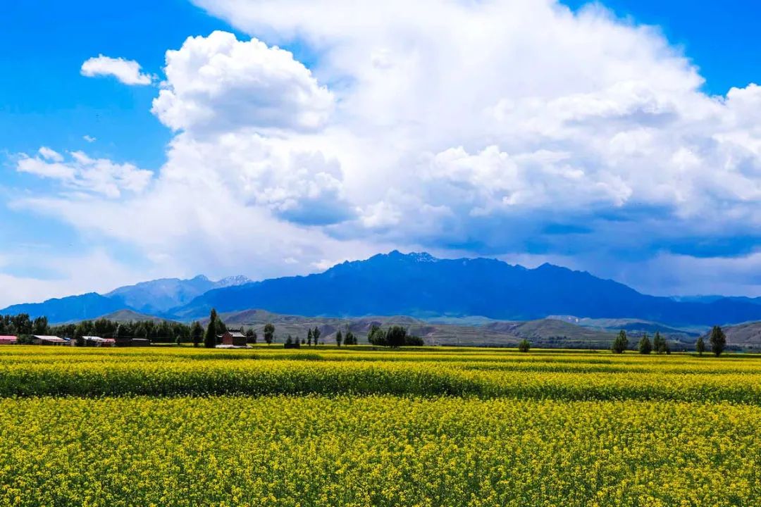 自驾游夏天避暑路线推荐,夏季旅游避暑自驾攻略图